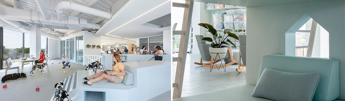 �������ǲ���(�й���)���Ź���