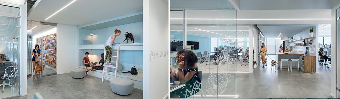 �������ǲ���(�й���)���Ź���