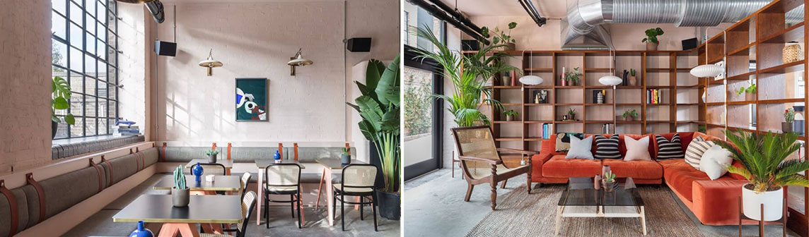 �������ǲ���(�й���)���Ź���