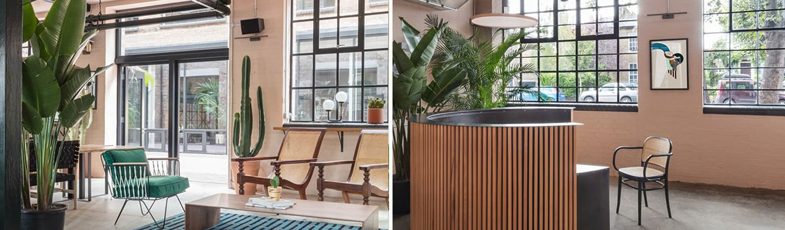 �������ǲ���(�й���)���Ź���